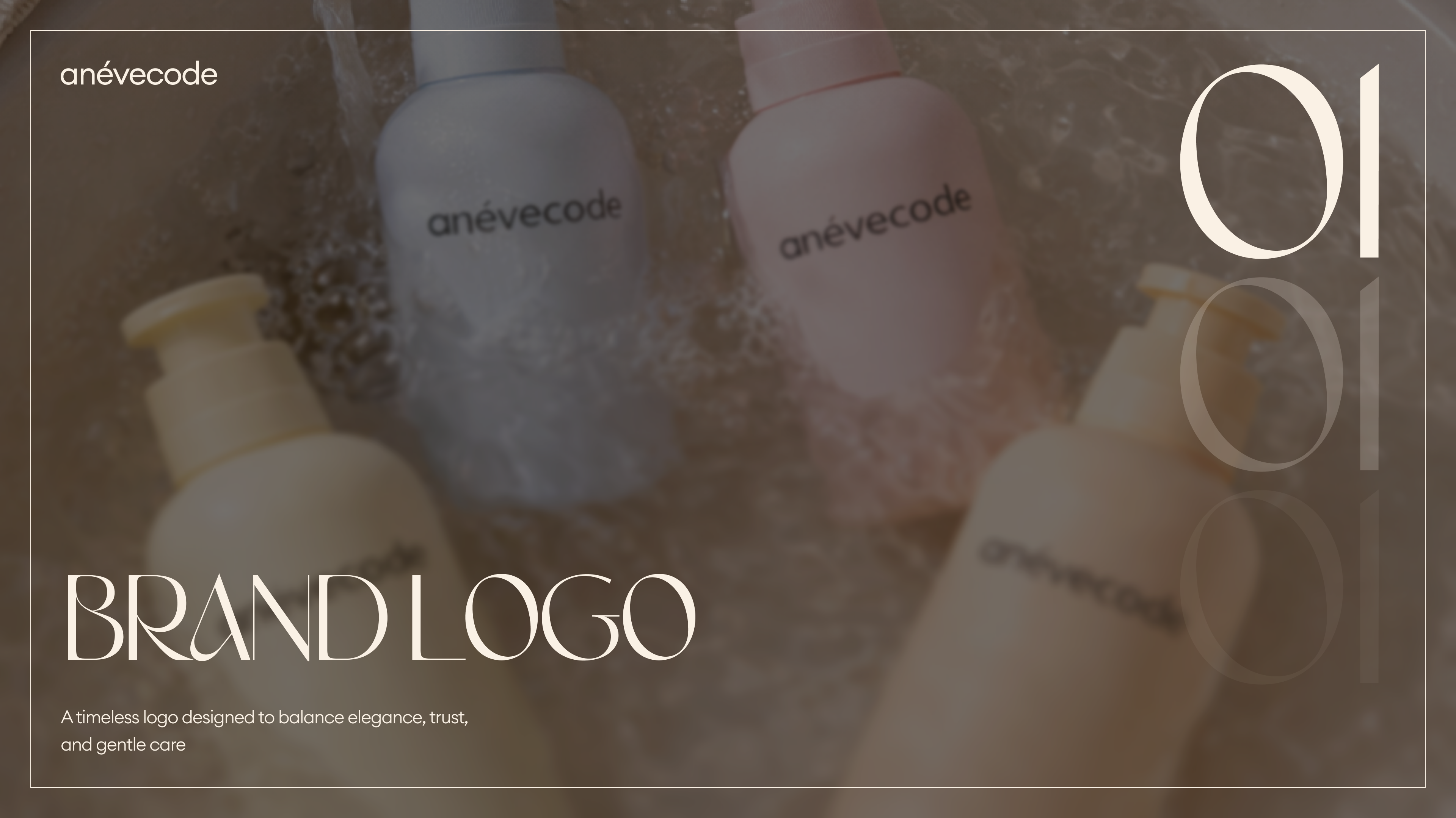 Anévecode BRANDBOOK