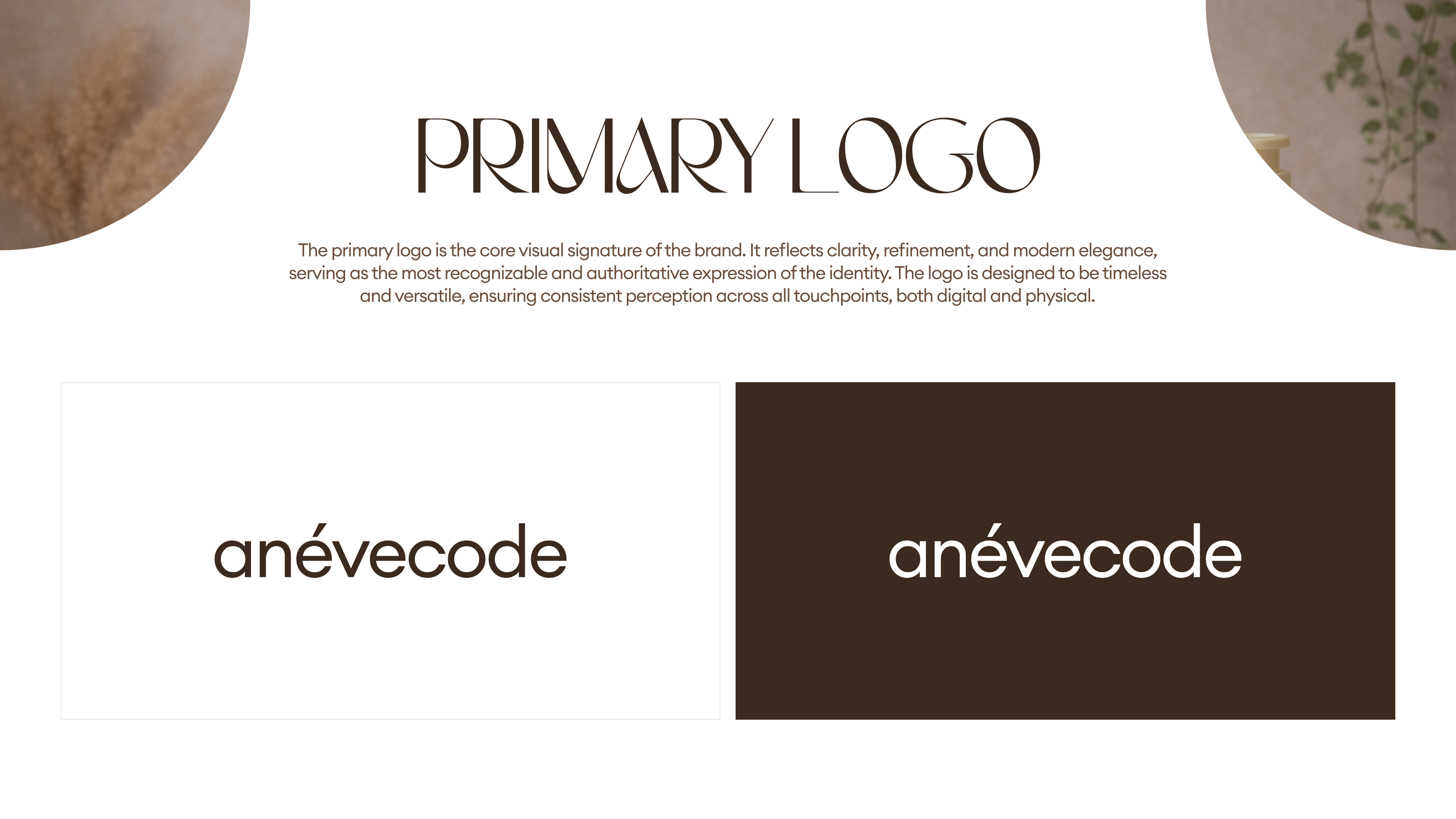 Anévecode BRANDBOOK
