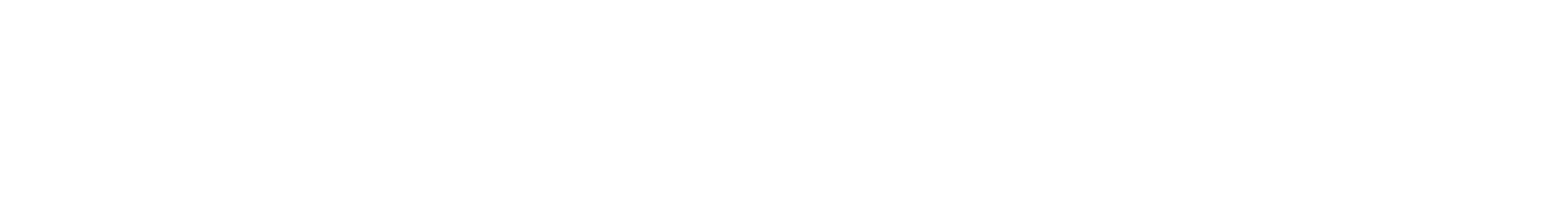 SEOVILLAGE RESORT & SPA — brand 1