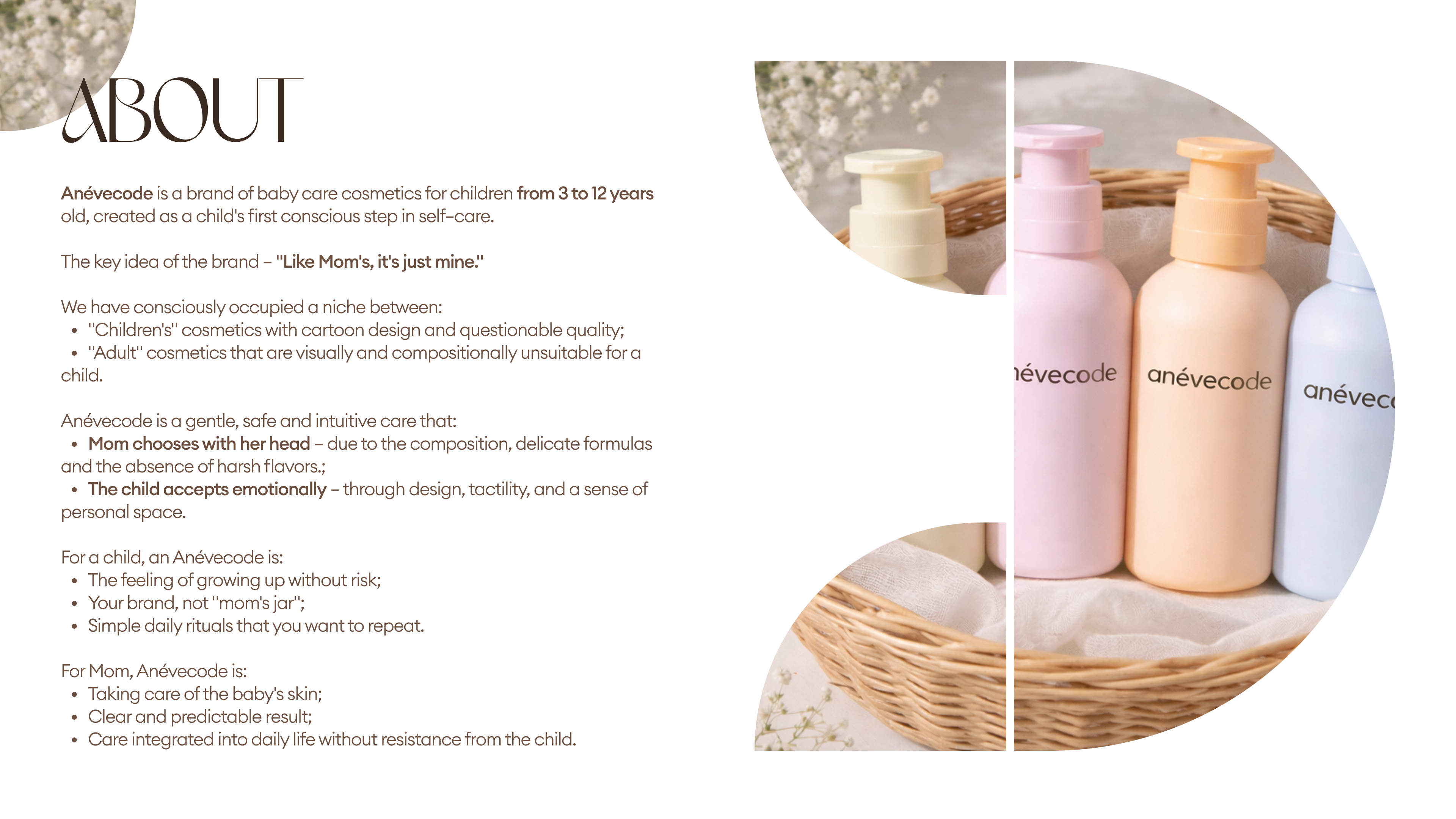 Anévecode BRANDBOOK